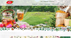 Desktop Screenshot of fares.ro