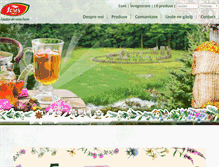 Tablet Screenshot of fares.ro